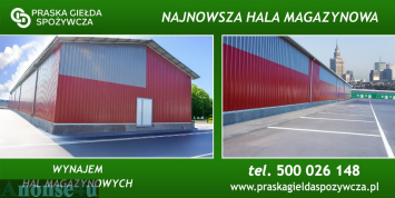 Hala/Magazyn na wynajem