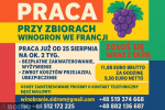 WINOBRANIE FRANCJA