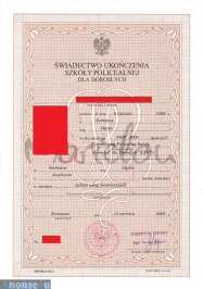 Sprzedam maturę z wpisem, dyplom licencjat, magistra z wpisem